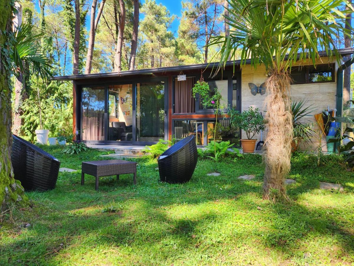 House & Yard Sesil Xs 60M To Beach Ureki Buitenkant foto