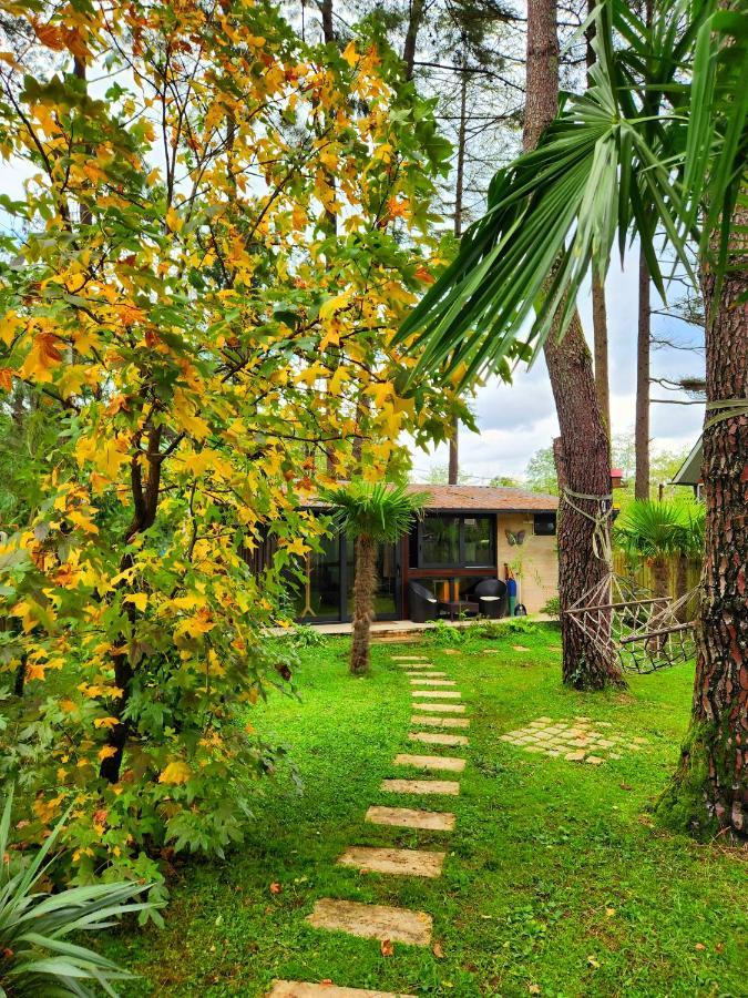 House & Yard Sesil Xs 60M To Beach Ureki Buitenkant foto